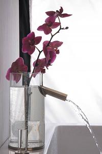     

:	flower-faucet2.jpg‏
:	217
:	38.3 
:	52673