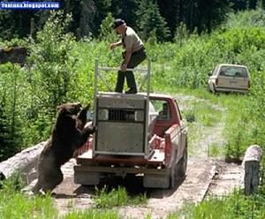     

:	bear_attack_Good_reasons_why_you_shouldnt_mess_with_nature-s400x330-37725-580.jpg‏
:	273
:	40.4 
:	54906