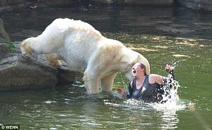     

:	polar_bear_attack_Good_reasons_why_you_shouldnt_mess_with_nature-s500x308-37719-580.jpg‏
:	301
:	34.9 
:	54911