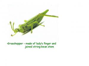    

:	grasshopper.jpg‏
:	217
:	18.5 
:	59514