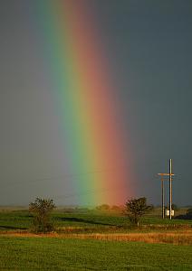     

:	rainbow_conception_missouri_1_crop.jpg‏
:	242
:	31.5 
:	84264