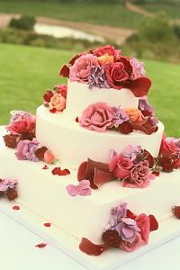     

:	wedding-cake-designs.jpg‏
:	571
:	72.0 
:	11990