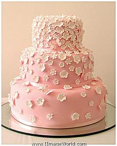     

:	wedding-cakes-19.jpg‏
:	1744
:	28.4 
:	11992