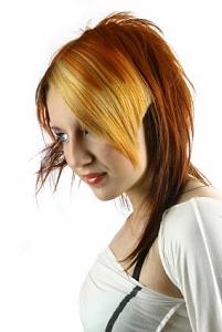     

:	funky-new-hairstyles-picture-042.JPG‏
:	1328
:	56.3 
:	20049