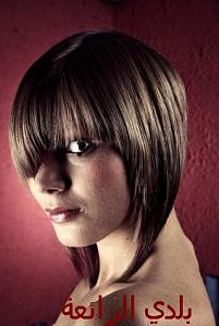     

:	funky-new-hairstyles-picture-015.JPG‏
:	375
:	28.5 
:	20442