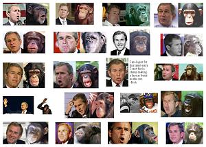    

:	Bush-and-the-chimp_.jpg‏
:	589
:	97.3 
:	21011