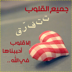 :	1020_www_arab-x_com_4a60f42ab5.jpg
: 3310
:	94.5 