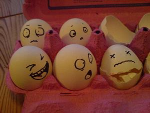     

:	egg3.jpg
:	1806
:	37.9 
:	40914