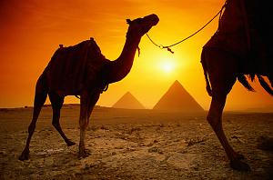     

:	Egypt 3.jpg
:	11774
:	73.6 
:	47084