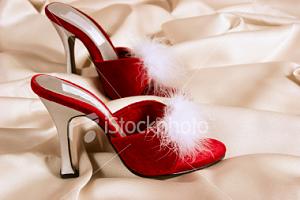     

:	ist2_2831602-bedroom-slippers-in-red-venvet.jpg
:	558
:	48.4 
:	59658