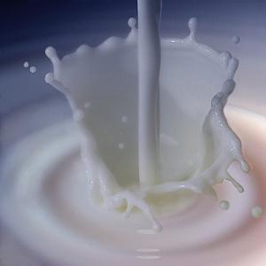     

:	milk[1].jpg
:	1430
:	19.2 
:	65379