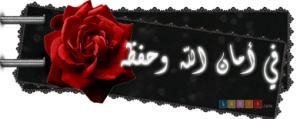     

:	www.hh50.com-Images-Islam-0732.jpg
:	360
:	11.8 
:	94314