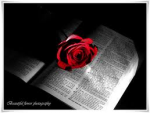 ÙÙÙ
ات ترÙÙØ© ÙÙÙØ¯ÙØ© Ù ÙØ±ÙØ³ÙØ©