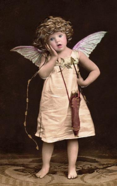 user100755 pic21634 1269985259