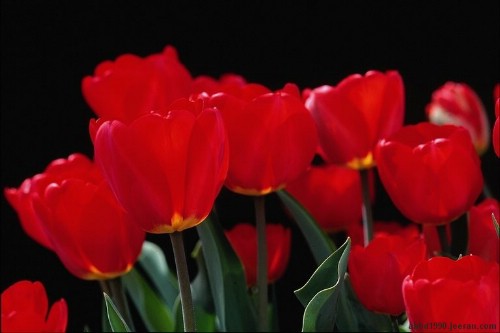 a50482da542fc3a1580700c8a86181eb l