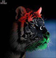 276504 206188802768280 1784063 n