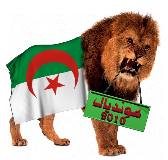 24234 105251502836938 100000562671201 145502 4414684 n