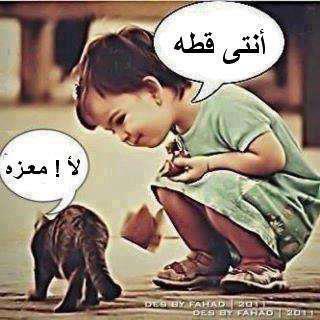 197850 442376002478273 201277439 n