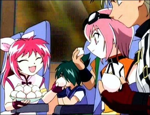 3781753373a4908452906l