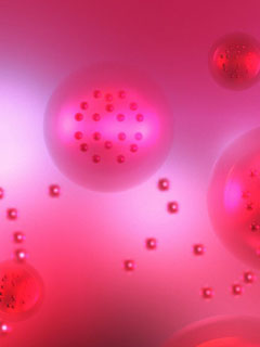 Pink(02)
