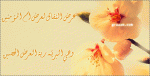 xw3tbo3j6tv3
