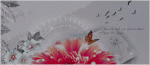 get 9 2010 p7sikpwu