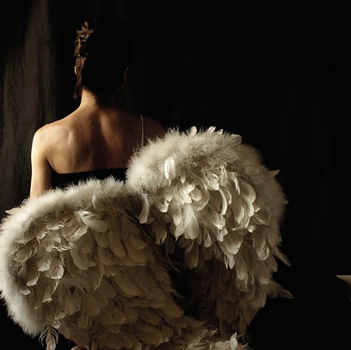 angel,wings,favorites,low,key,photography,portrait,woman 36c4003a419aaf5306f38e21dc364bb9 h[1]