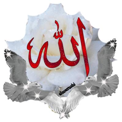 user2623 pic1166 1271397871