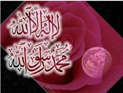 d00b09f476e888d74047cee852f544bc lm[1]