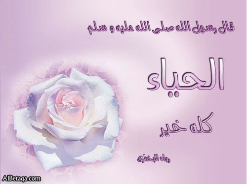 22776 1301567586418 1447293295 30846637 6886021 n