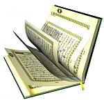 20100914 214605741299990