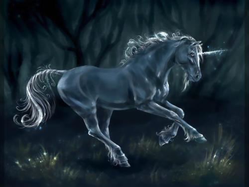 fantasy wallpaper 75