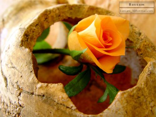 ���� ����1