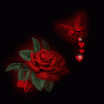 user14 pic122 1300143658