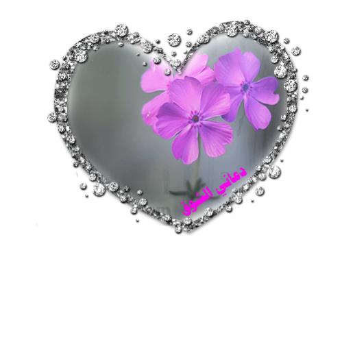 ���� ����� 1yty