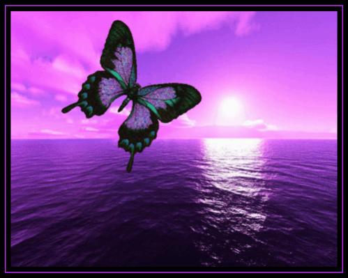images 4c1d0b52d5
