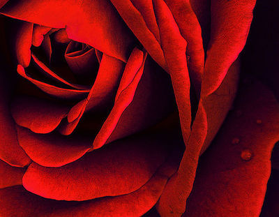 124376 1197805886[1]