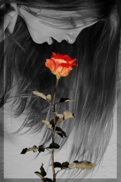 Romance (29)