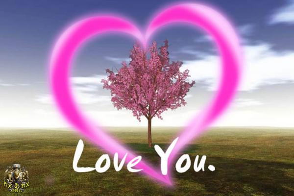 Romance (100)