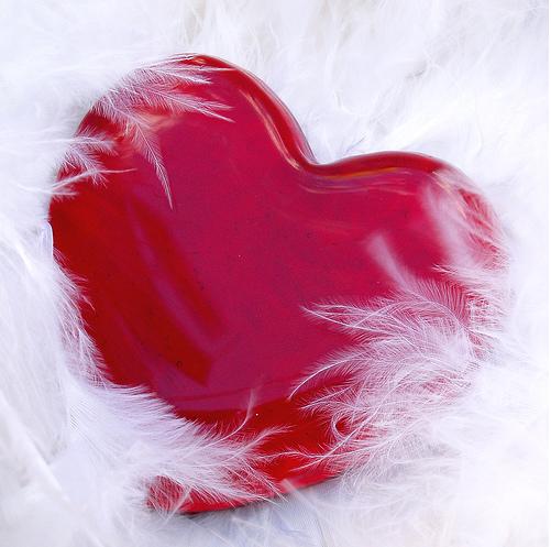 Romance (83)