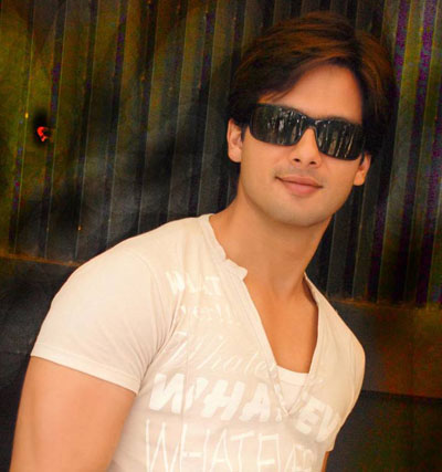 shahid kapoor 114 1024x768