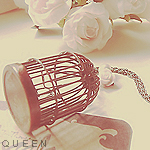 022611020249zt1o3ddrd