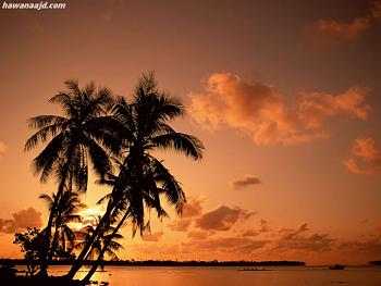 NATURE 9