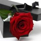 images (10)