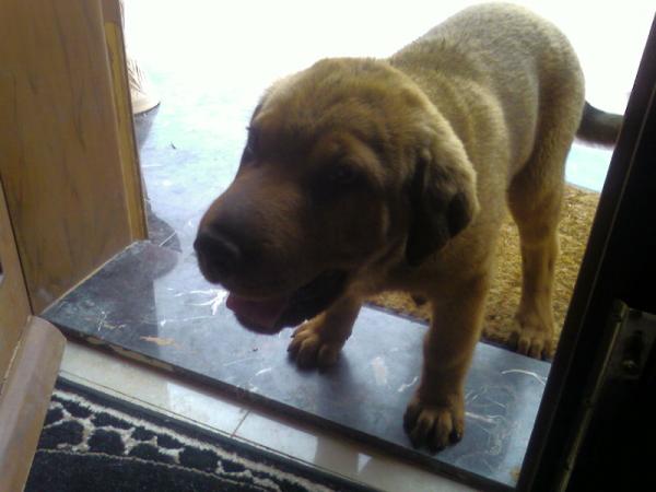 Photo 0066