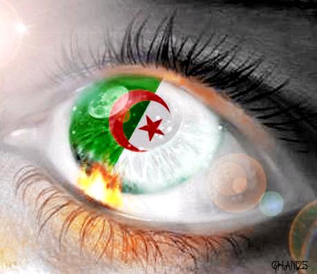 2fzuzns9hbndciovccon