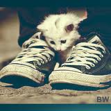 imagesCAT74D0C