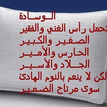 user194468 albums6516 picture47985t