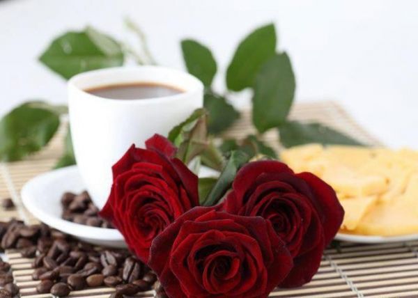 3 5 0 0016014759 672 480 9616868 600 720 30978421