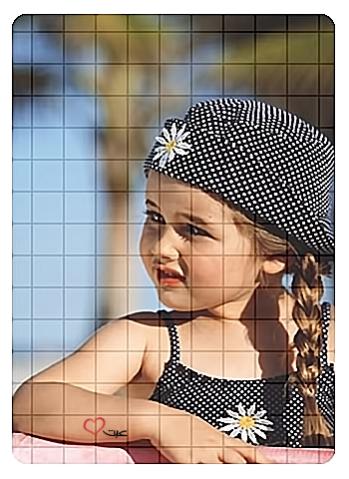 2a28ec21ee8134b52936fc5c17e8ed0c